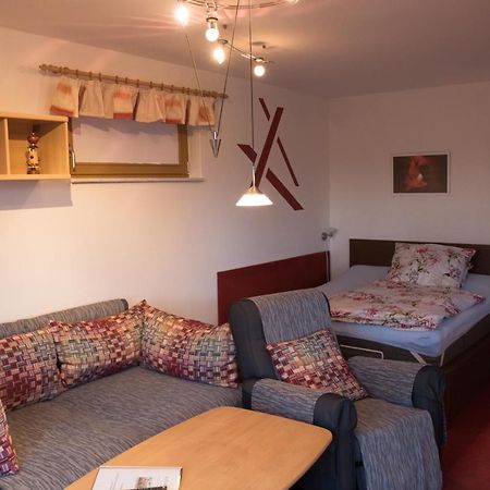 Apartament Hundemuede In Drezno Zewnętrze zdjęcie