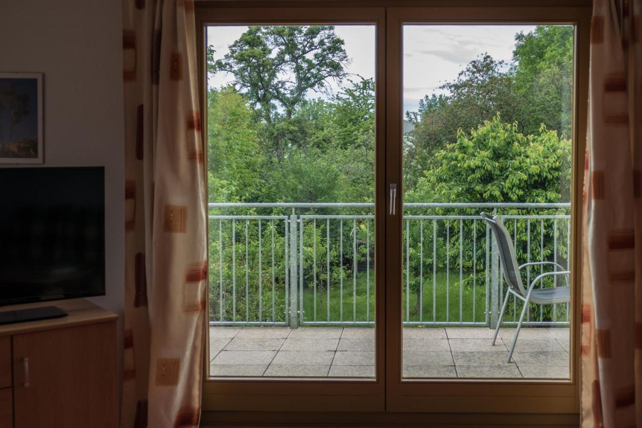 Apartament Hundemuede In Drezno Zewnętrze zdjęcie